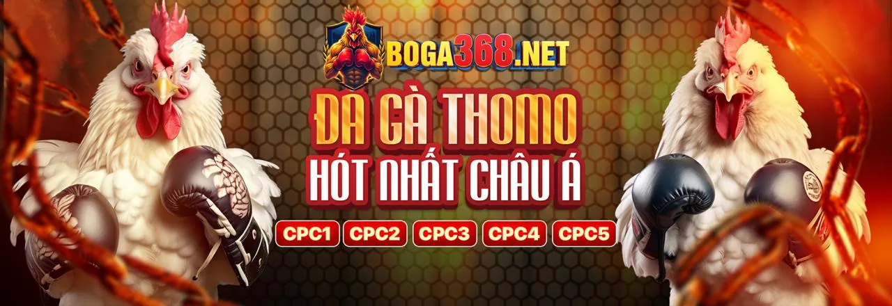 Đấu trường đá gà kịch tính tại fub88 link vào